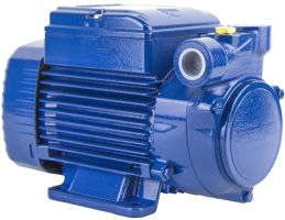 Вихревой насос для перекачки воды 0.45 кВт, Pedrollo PQ 81-PRO 10 бар, поверхностный, с подачей до 90 л/мин Вихревой насос для перекачки воды 0.45 кВт, Pedrollo PQ 81-PRO 10 бар, поверхностный, с подачей до 90 л/мин