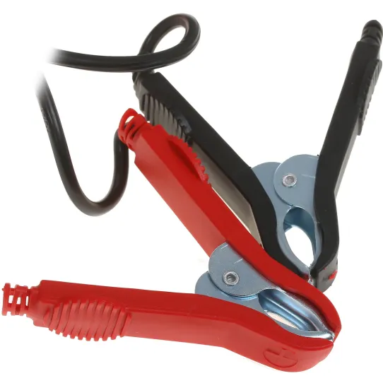 Зарядное устройство Aurora 14707 для 12 и 24 В, 220 В