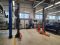 Двухстоечный подъемник Everlift EE-E28 8т, электрогидравлический, 380В, с пультами управления на каждой колонне, автоматической беспроводной системой синхронизации Двухстоечный подъемник Everlift EE-E28 8т, электрогидравлический, 380В, с пультами управления на каждой колонне, автоматической беспроводной системой синхронизации
