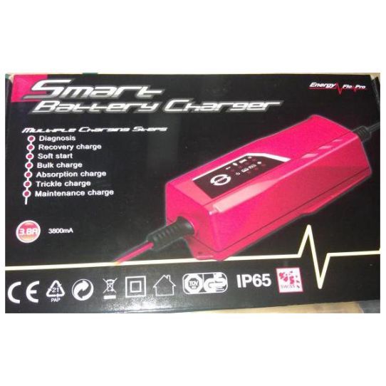 Зарядное устройство LEMANIA ENERGY LEM1238 12 В 220 В