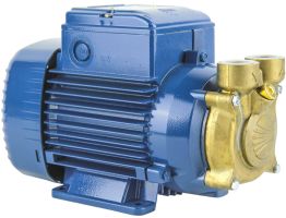 Вихревой насос Pedrollo PVm 65