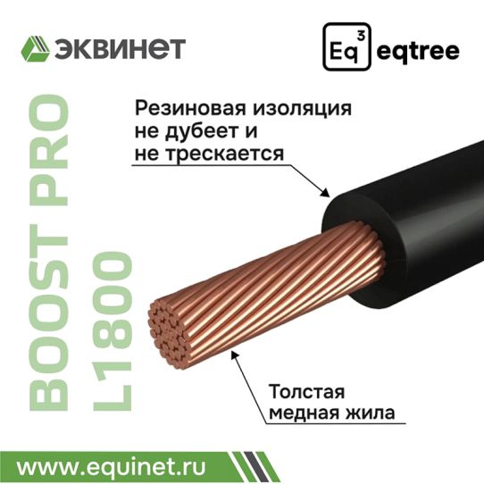 Автономное пусковое устройство 12В 1800А AGM с LED фонариком и Power Bank для автомобилей и мотоциклов eqtree™ BP-L1800