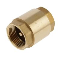 Обратный клапан с металлическим штоком усиленный 1