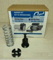 Ремкомплект для насосов Adam Pumps KIT By-Pass 60-80-100