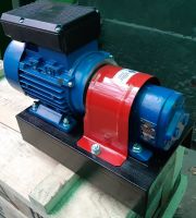 Насос электрический шестеренчатый для масла 220В 3 л/м БГ 11-11б с э/д Насос электрический шестеренчатый для масла 220В 3 л/м БГ 11-11б с э/д