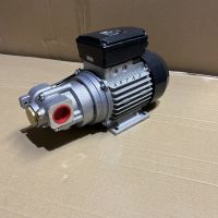 Насос для перекачки масла Piusi VISCOMAT 200/2 T F0030405D