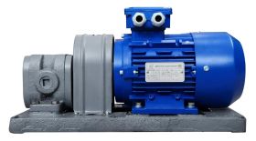 Насос электрический шестеренчатый для масла 220В 18 л/м БГ 11-22 Насос электрический шестеренчатый для масла 220В 18 л/м БГ 11-22