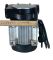 Насос для перекачки дизельного топлива PA 2-80 Adam Pumps Насос для перекачки дизельного топлива PA 2-80 Adam Pumps