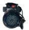 Насос для перекачки дизеля 220v Petroll Helios 80 ACTP80 Насос для перекачки дизеля 220v Petroll Helios 80 ACTP80
