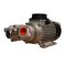Насос для перекачки масла Piusi VISCOMAT 230/3 T F00304T4D Насос для перекачки масла Piusi VISCOMAT 230/3 T F00304T4D