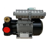 Насос для перекачки бензина 100 л.м. 220в Piusi EX100 F00390010