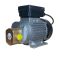 Насос для масла 220в Gespasa EA 88 0.37 kW Насос для масла 220в Gespasa EA 88 0.37 kW
