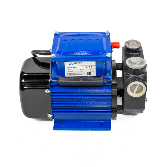 Насос для бензина 220В до 80 л/м 1"F DB-80ex, DB-EX80 Фронтальный