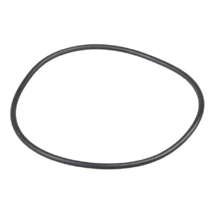 Уплотнительное кольцо для насоса Panther Рiusi R11461000