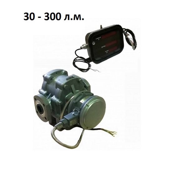 Счетчик топлива механический 30-300 л.м. 6 бар ППО-ДИ-0-5-КУП-30 40 0,6 (60-300)-0,5