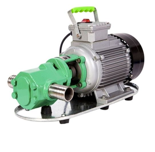 Насос для перекачки масла и отработки с выносным электродвигателем 220в 150л/м WCB-150