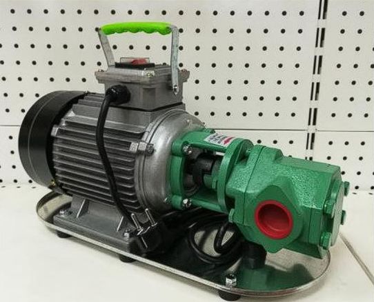 Насос для перекачки масла и отработки с выносным электродвигателем 220в 150л/м WCB-200