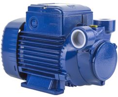 Вихревой насос для перекачки воды 0.5 кВт, Pedrollo PQm 65 6 бар, поверхностный, с подачей до 50 л/мин Вихревой насос для перекачки воды 0.5 кВт, Pedrollo PQm 65 6 бар, поверхностный, с подачей до 50 л/мин