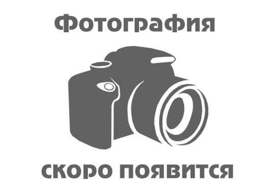 Пресс гидравлический 50 т Станкоимпорт SD0809CE напольный