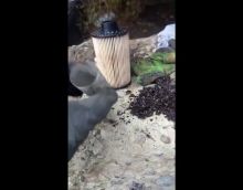 Пример работы фильтра грубой очистки / промывка